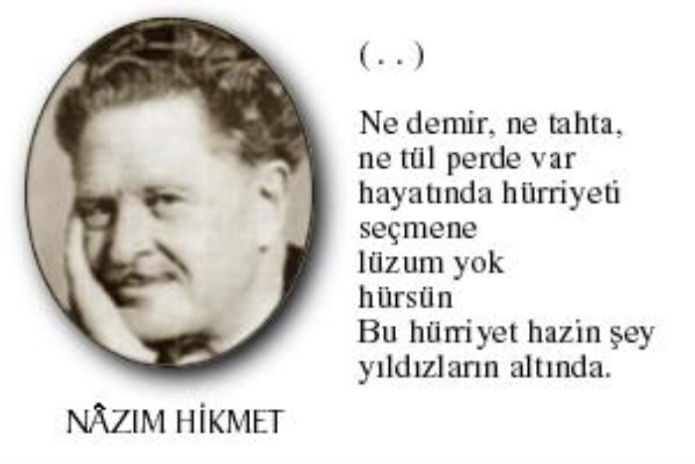 Express help guide for your cat