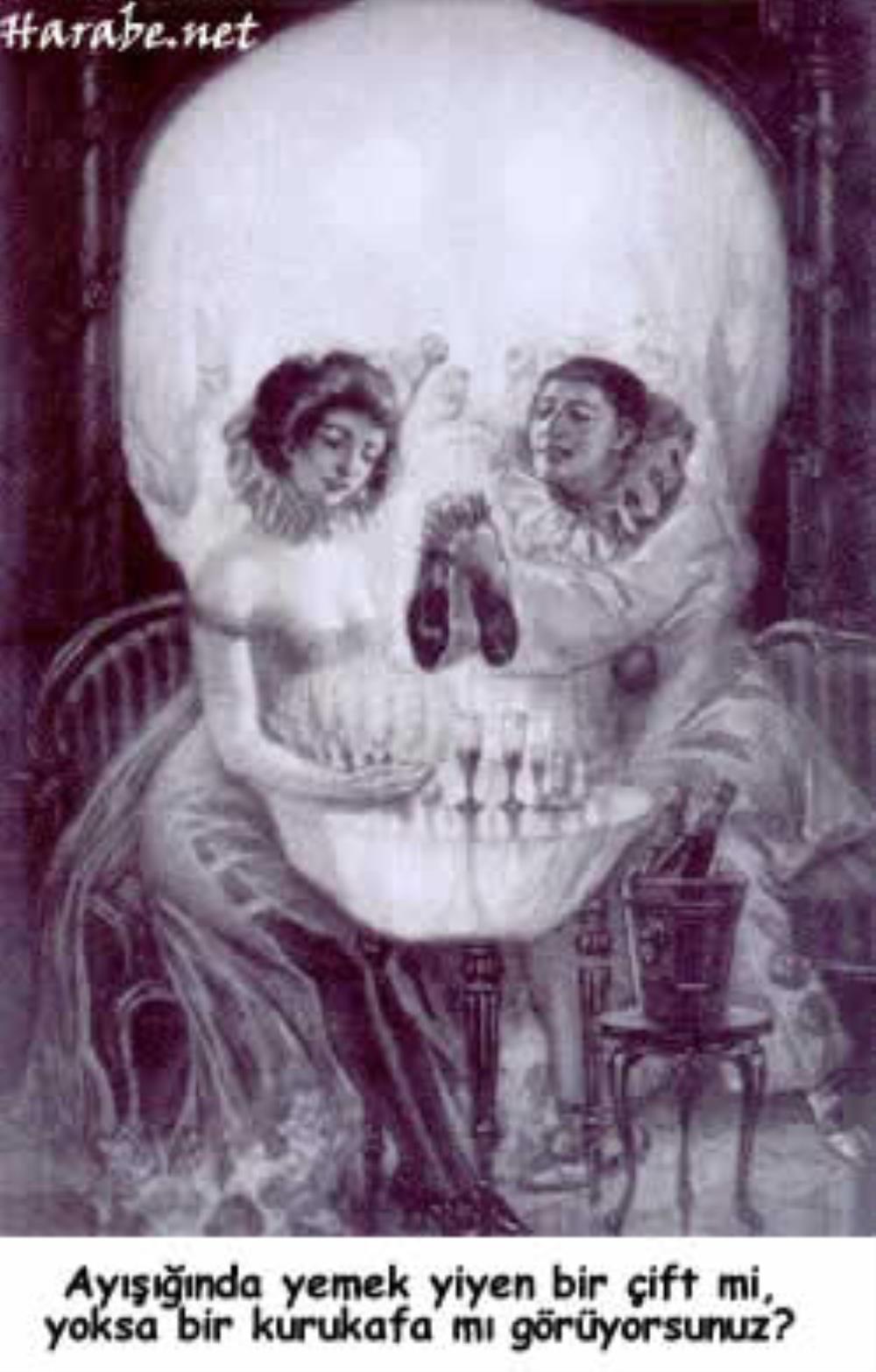 Express help guide for your cat