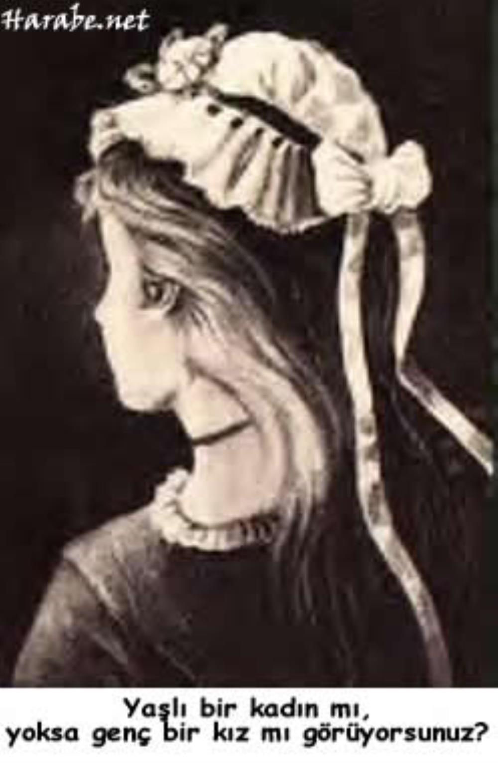 Express help guide for your cat