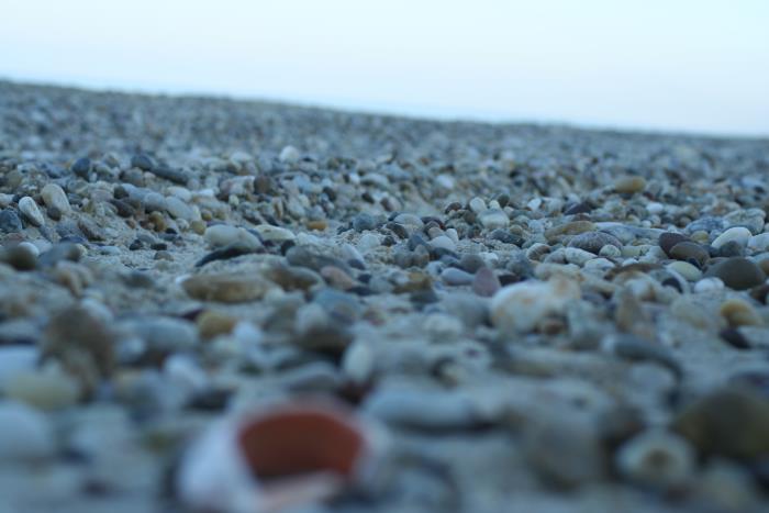 <p>Sita iletisimle ilgili bilgiler</p>